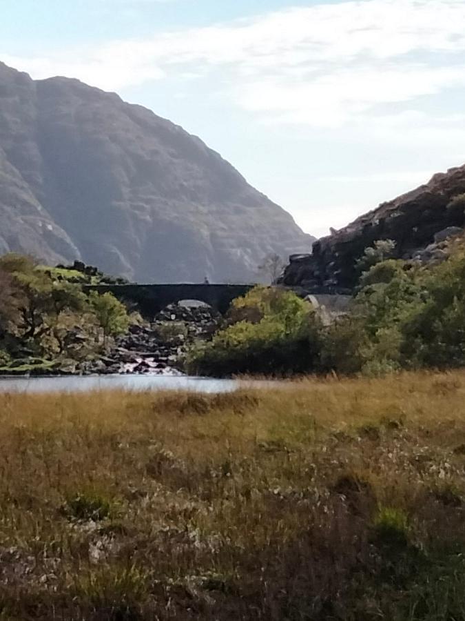 Larkfield House B&B, Ballycasheen Kerry V93 Wd51 Киларни Екстериор снимка