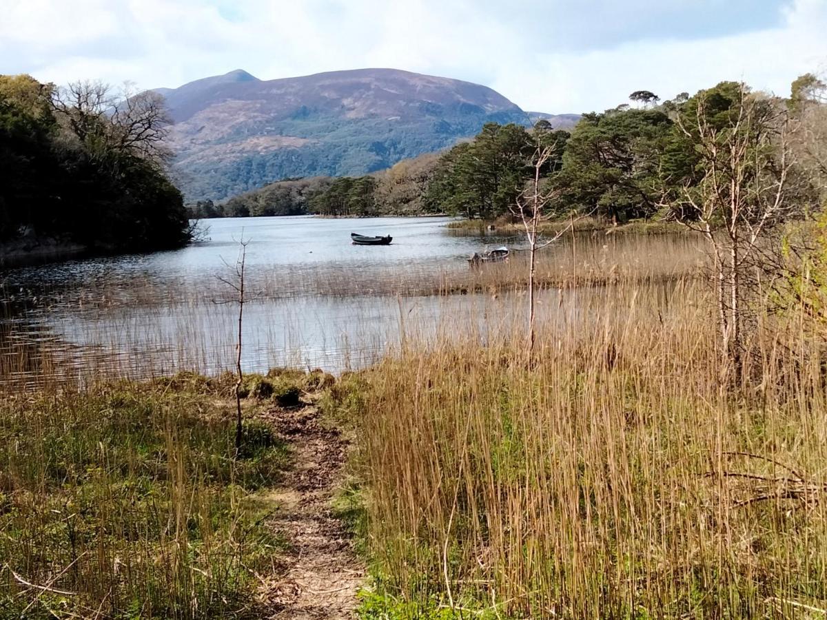 Larkfield House B&B, Ballycasheen Kerry V93 Wd51 Киларни Екстериор снимка