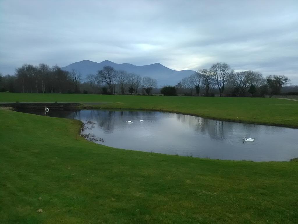 Larkfield House B&B, Ballycasheen Kerry V93 Wd51 Киларни Екстериор снимка