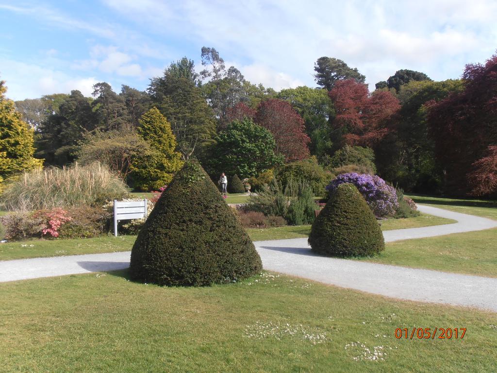 Larkfield House B&B, Ballycasheen Kerry V93 Wd51 Киларни Екстериор снимка