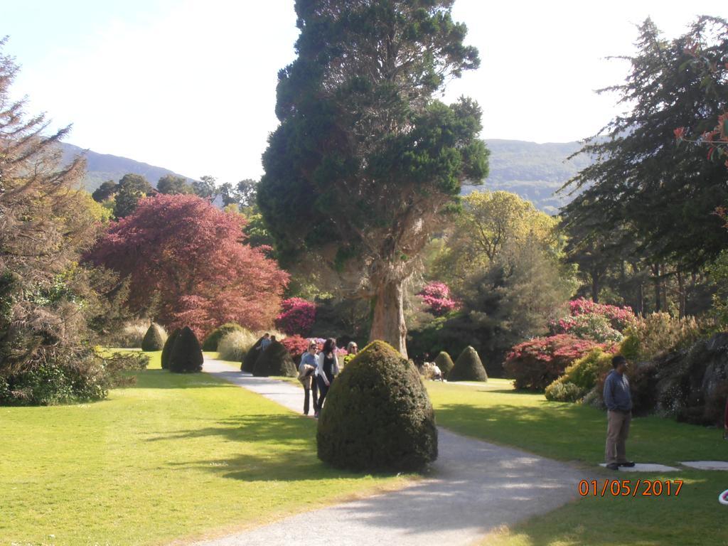Larkfield House B&B, Ballycasheen Kerry V93 Wd51 Киларни Екстериор снимка